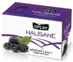 Halisane Böğürtlen Çayı 20 Adet 1 KUTU