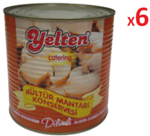 KONSERVE DİLİMLİ MANTAR 2850 GR *6 AD