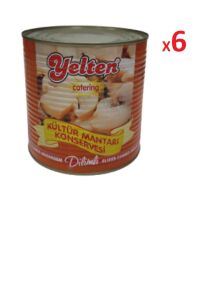KONSERVE DİLİMLİ MANTAR 2850 GR *6 AD