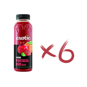 EXOTİC PORTAKAL NAR SUYU 300CC*6AD