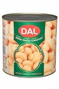 DAL BÜTÜN KONSERVE MANTAR 3 KG*6AD (1150GR NET)